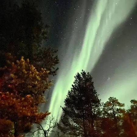 Moderni Puuhuvila Eraemaan Reunalla Kiilopaeaellae Villa *