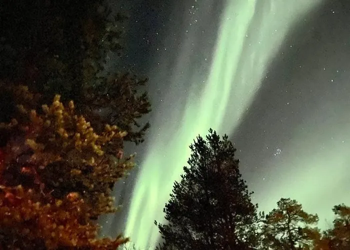 Moderni Puuhuvila Eraemaan Reunalla Kiilopaeaellae Βίλα *