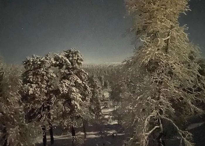 Moderni Puuhuvila Eraemaan Reunalla Kiilopaeaellae Βίλα *